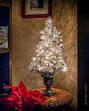 Tiny Christmas Tree_P1230253-8